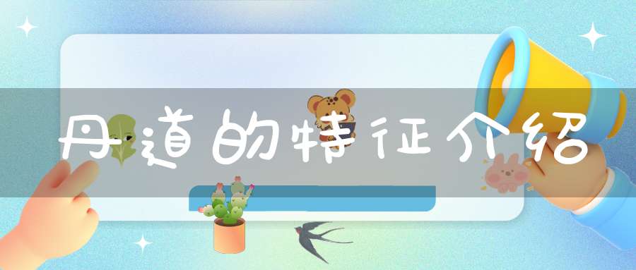 丹道的特征介绍