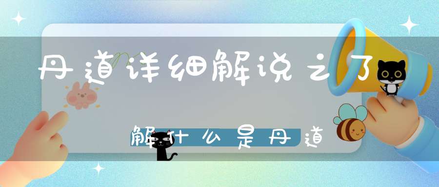 丹道详细解说之了解什么是丹道