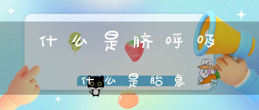 什么是脐呼吸什么是胎息