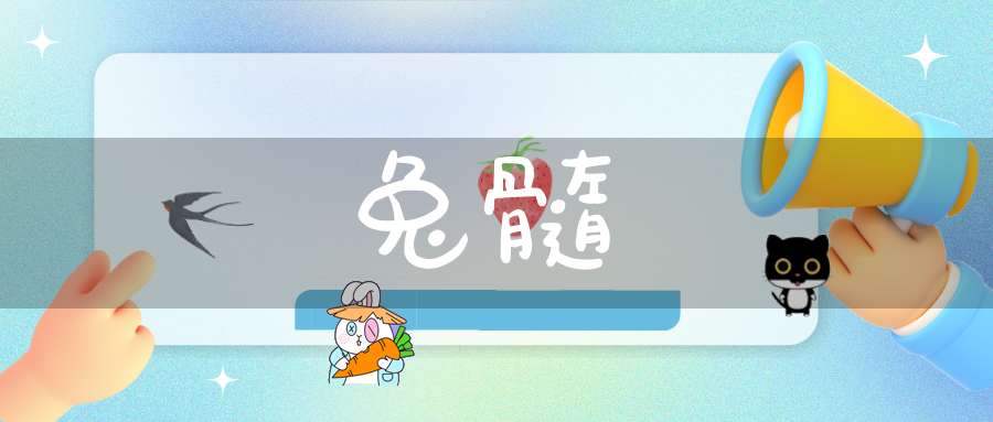兔髓