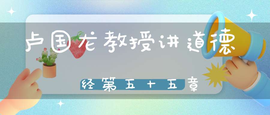 卢国龙教授讲道德经第五十五章