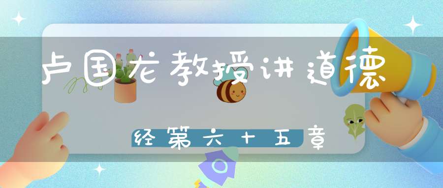 卢国龙教授讲道德经第六十五章