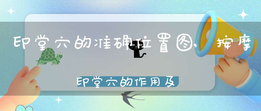 印堂穴的准确位置图,按摩印堂穴的作用及功效