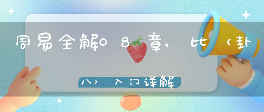 周易全解08章,比（卦八）入门详解