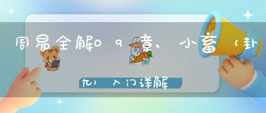 周易全解09章,小畜（卦九）入门详解