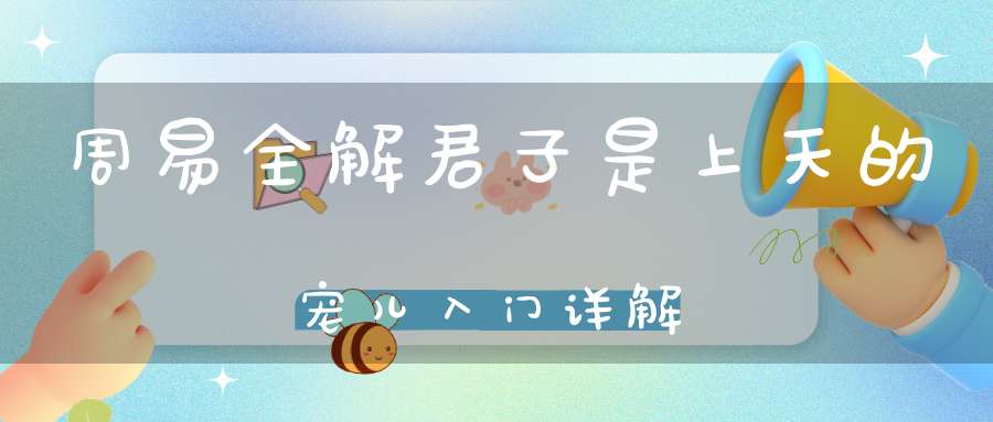 周易全解君子是上天的宠儿入门详解
