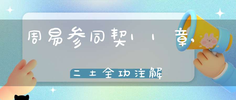 周易参同契11章,二土全功注解