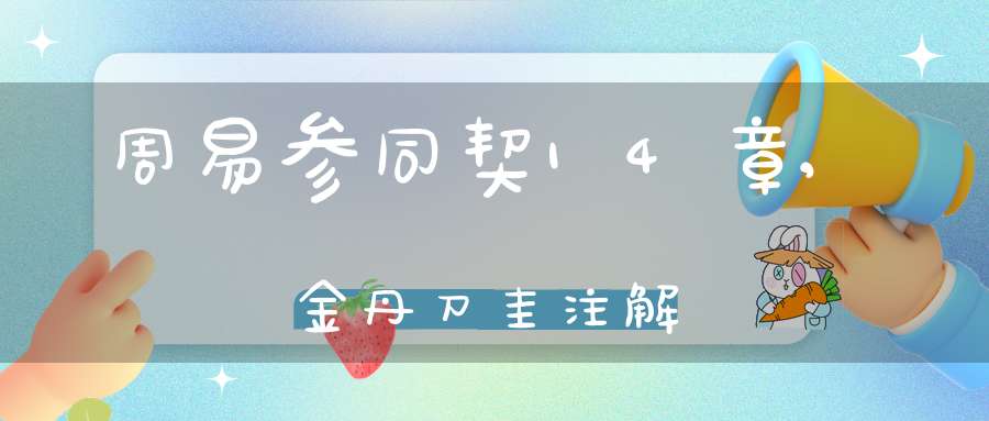 周易参同契14章,金丹刀圭注解