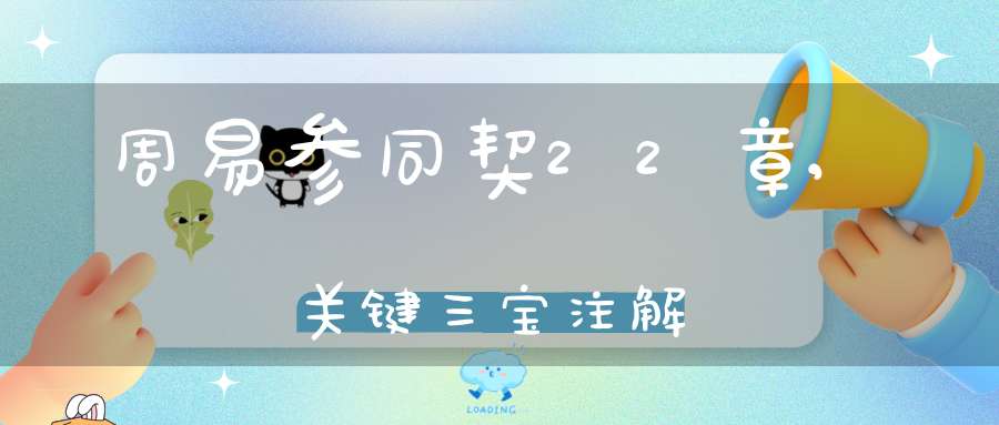 周易参同契22章,关键三宝注解