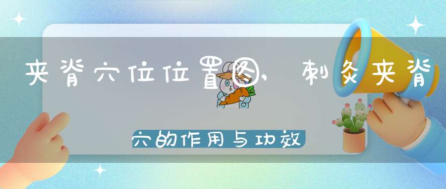 夹脊穴位位置图,刺灸夹脊穴的作用与功效