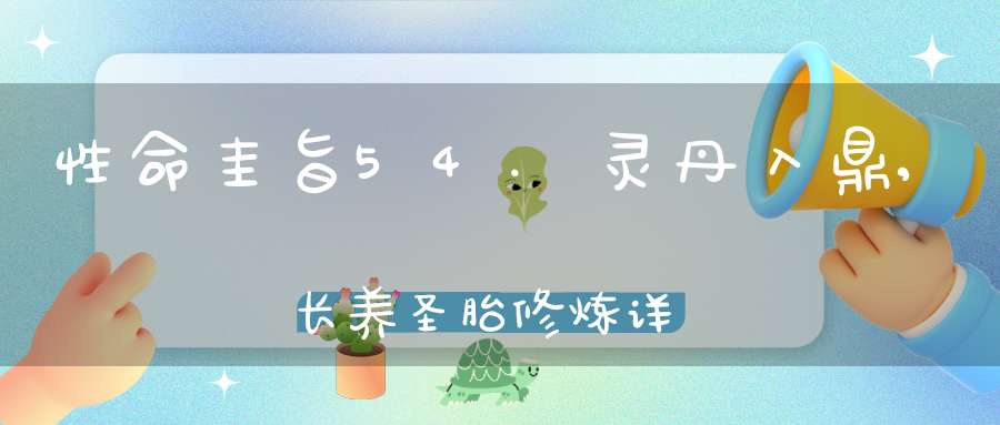 性命圭旨54.灵丹入鼎,长养圣胎修炼详解