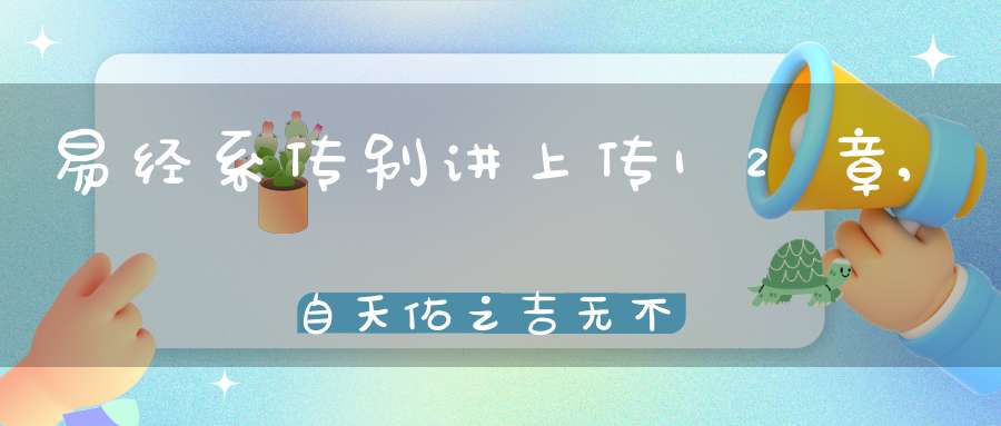 易经系传别讲上传12章,自天佑之吉无不利（02）在线学习