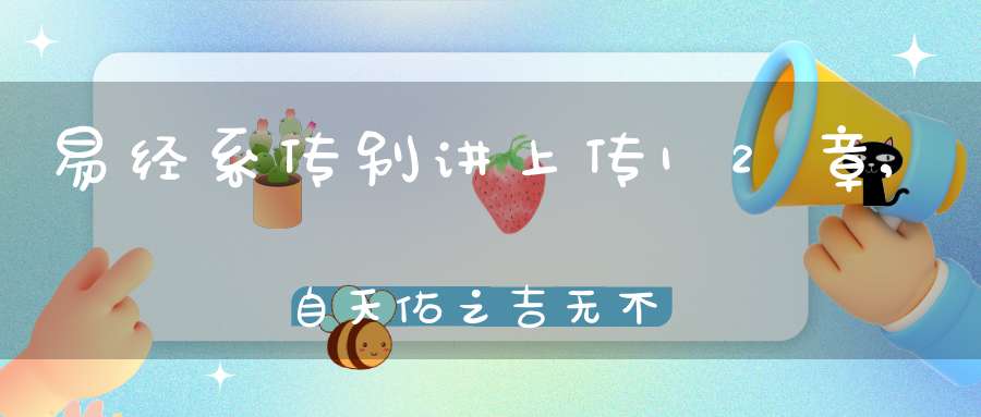 易经系传别讲上传12章,自天佑之吉无不利（06）在线学习