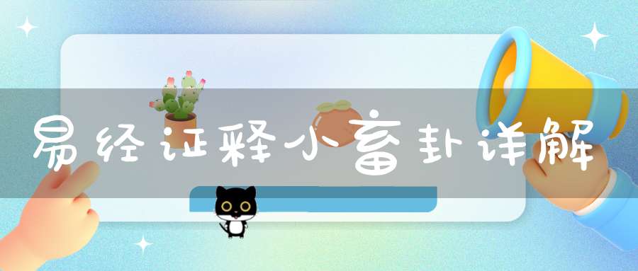 易经证释小畜卦详解
