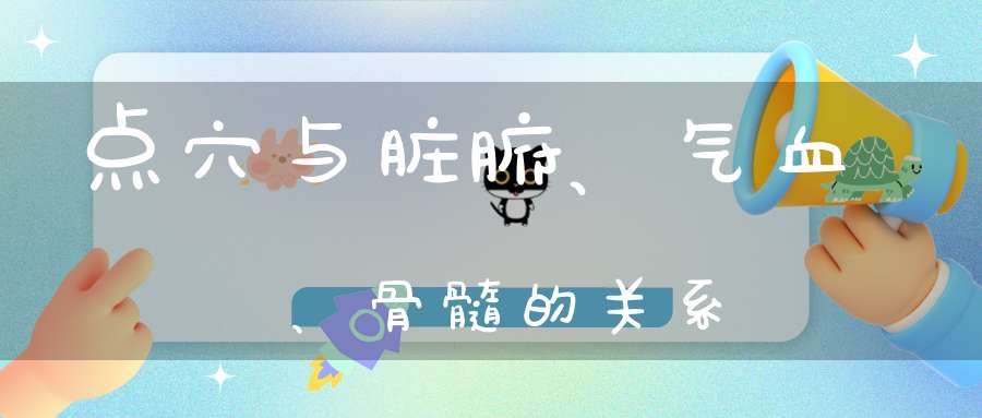 点穴与脏腑、气血、骨髓的关系