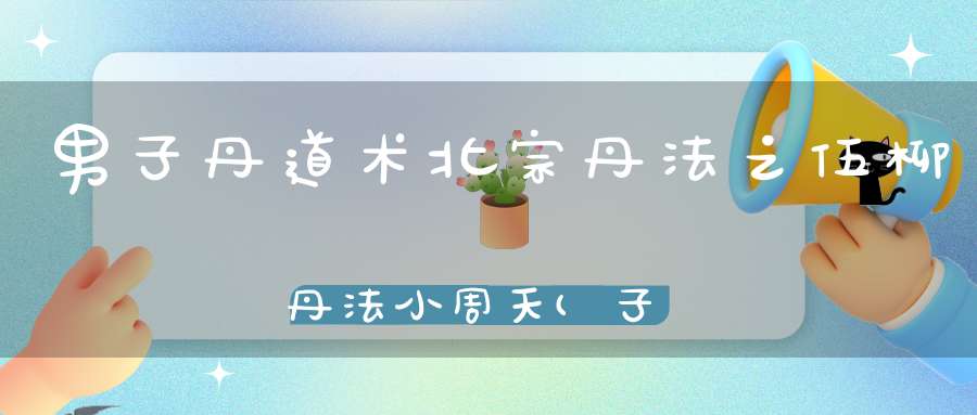 男子丹道术北宗丹法之伍柳丹法小周天(子午周天)