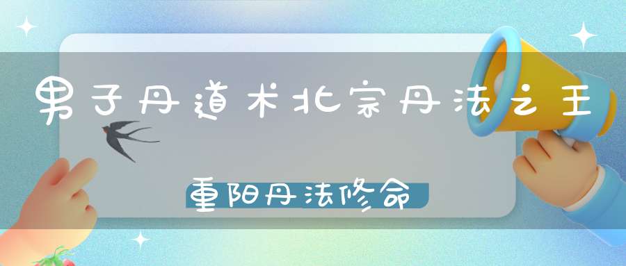 男子丹道术北宗丹法之王重阳丹法修命