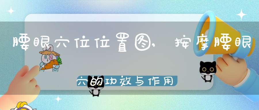 腰眼穴位位置图,按摩腰眼穴的功效与作用