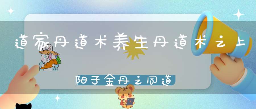 道家丹道术养生丹道术之上阳子金丹之同道中人