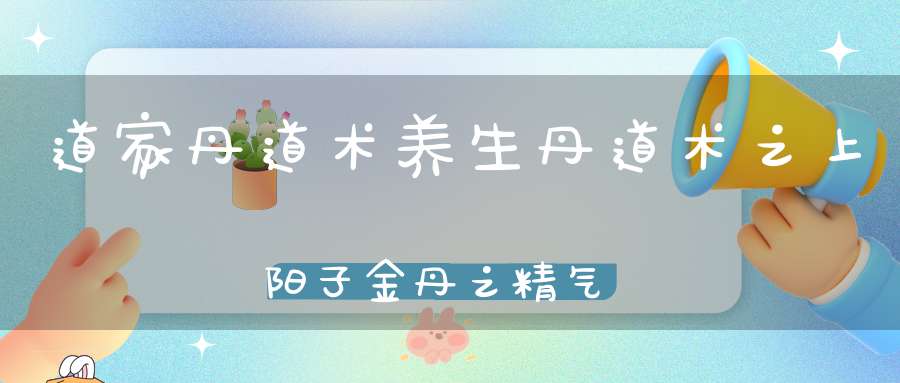 道家丹道术养生丹道术之上阳子金丹之精气神说