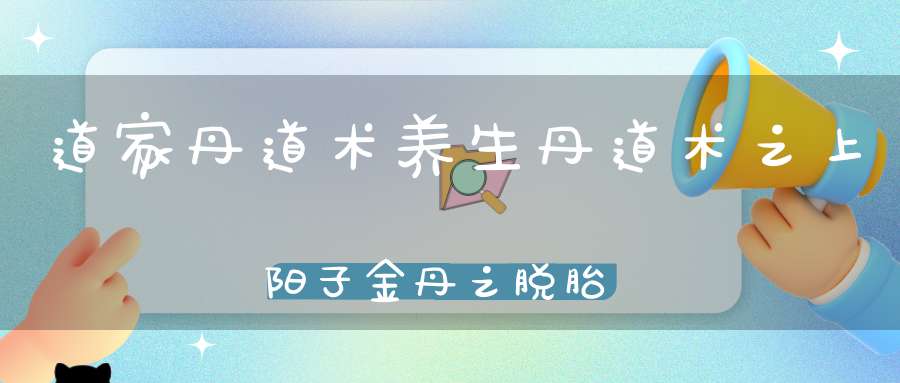 道家丹道术养生丹道术之上阳子金丹之脱胎换鼎和须知七事