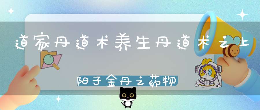 道家丹道术养生丹道术之上阳子金丹之药物和鼎器