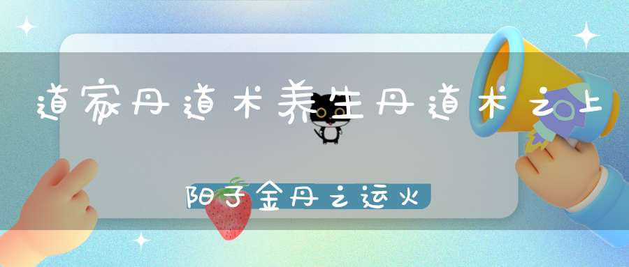 道家丹道术养生丹道术之上阳子金丹之运火行符和朔望弦晦