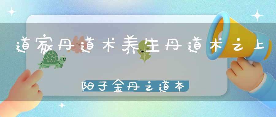 道家丹道术养生丹道术之上阳子金丹之道本阴阳和金液还丹等
