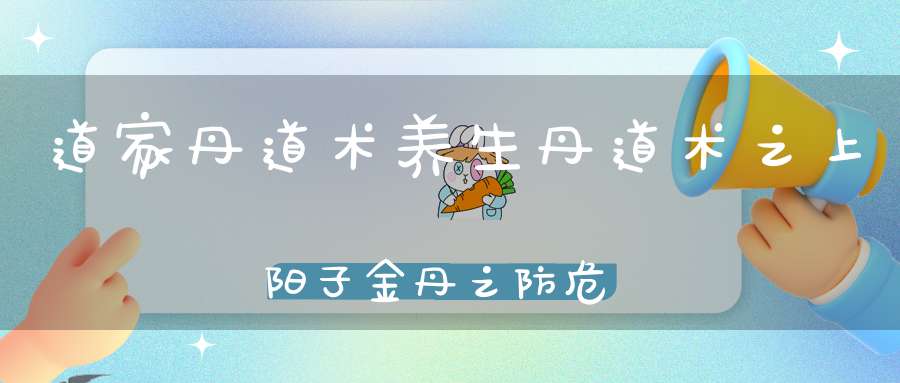 道家丹道术养生丹道术之上阳子金丹之防危护失和卯酉刑德