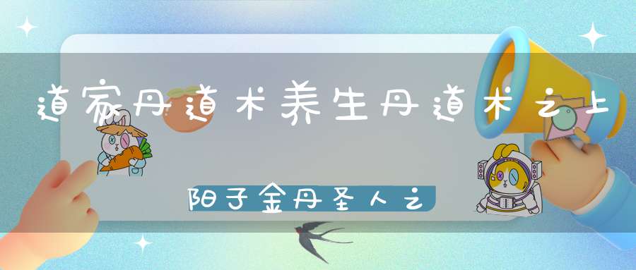 道家丹道术养生丹道术之上阳子金丹圣人之德和生死事大等