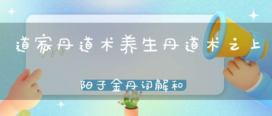 道家丹道术养生丹道术之上阳子金丹词解和口诀