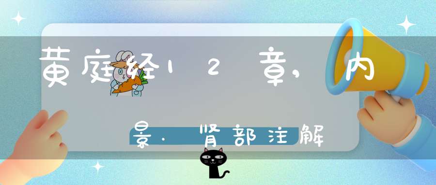 黄庭经12章,内景.肾部注解