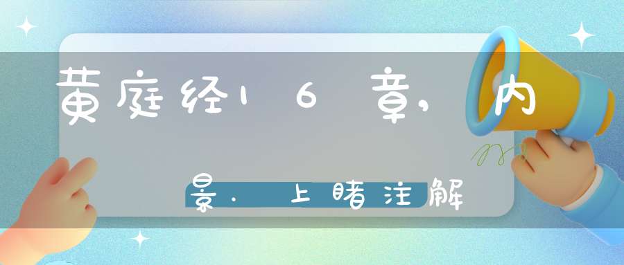 黄庭经16章,内景.上睹注解