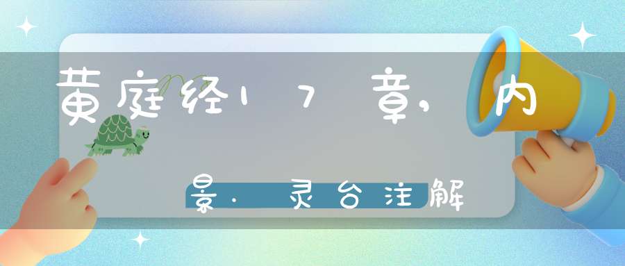 黄庭经17章,内景.灵台注解