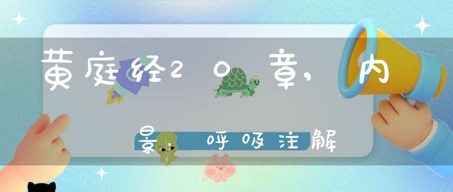 黄庭经20章,内景.呼吸注解
