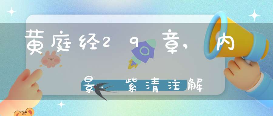黄庭经29章,内景.紫清注解