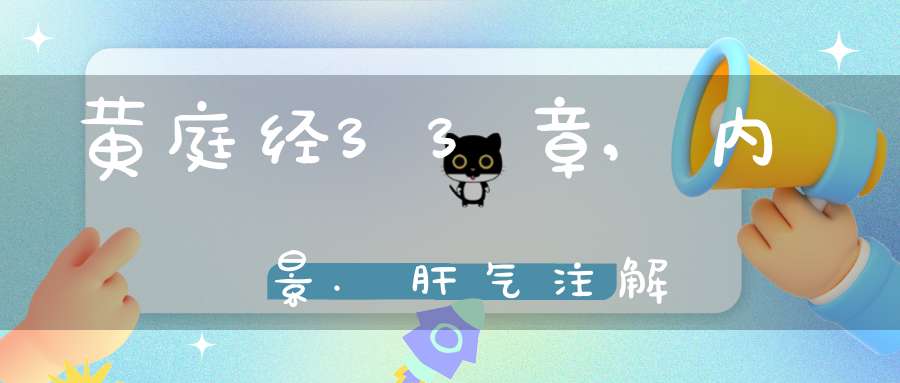 黄庭经33章,内景.肝气注解