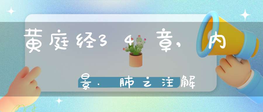 黄庭经34章,内景.肺之注解